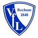 Vfl Bochum02